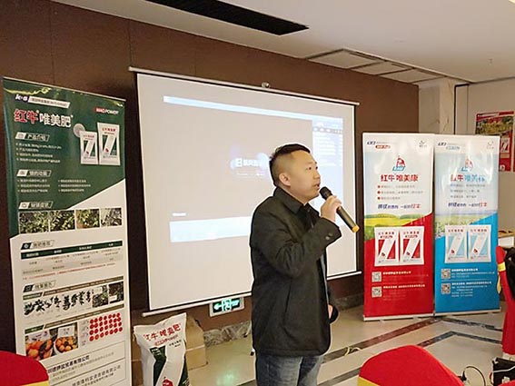 球王会(集团)体育科技有限公司官网_湘珠复合肥料销售_金皇冠复合肥料销售_兴湘复合肥料销售_田园穗旺复合肥料销售_湖南复合肥料生产销售